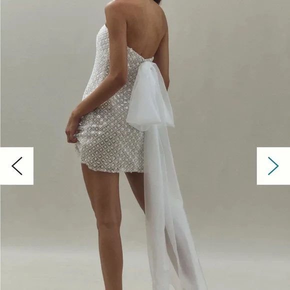 Watters Crescendo Mini Dress - Picture 3 of 8